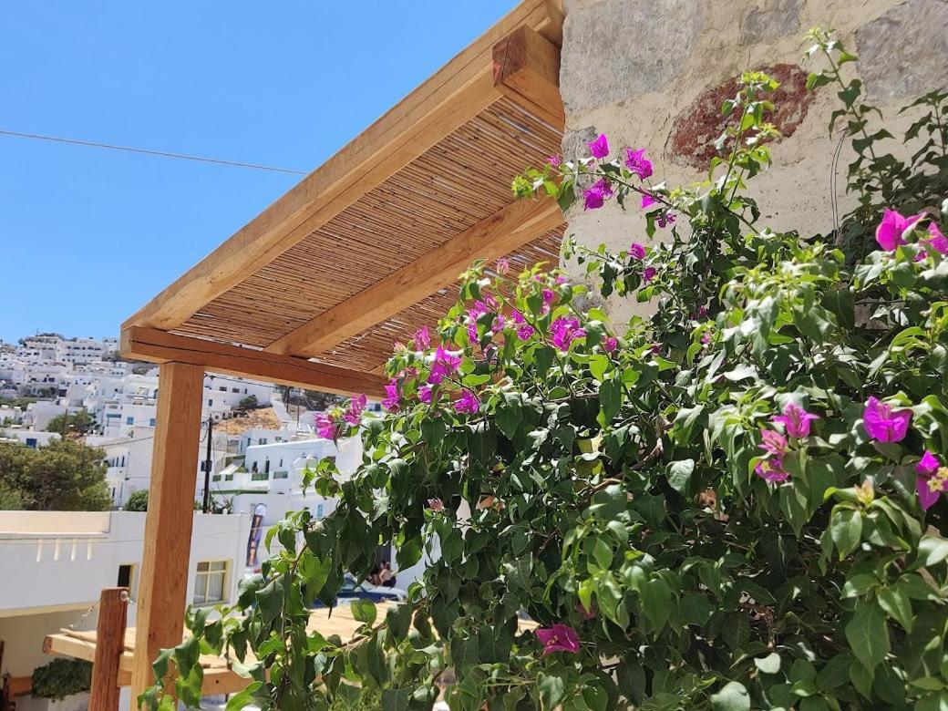 Yalos House Holiday home Pera Gyalos